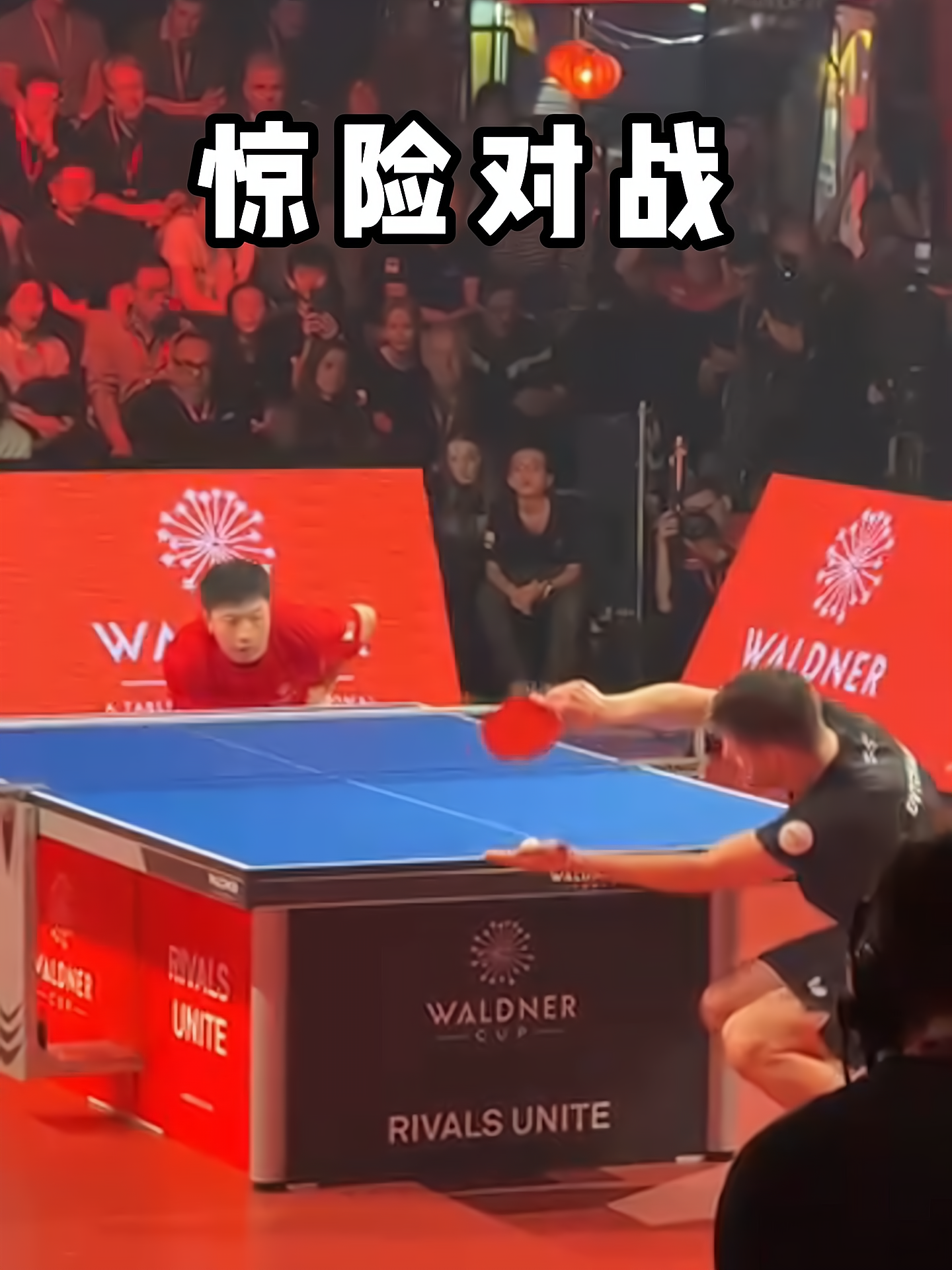 包含奥地利乒乓球队绝杀德国乒乓球队,奥恰洛夫送出助攻的词条 包含奥地利乒乓球队绝杀德国乒乓球队,奥恰洛夫送出助攻的词条