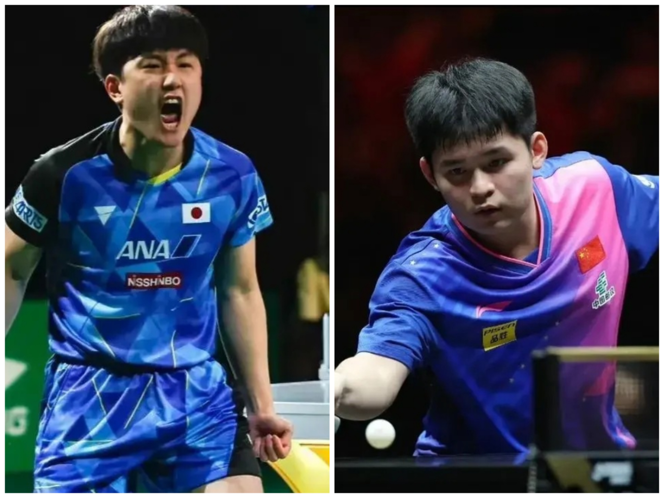 关于德国乒乓球队完胜韩国乒乓球队,张本智和统治全场的信息 关于德国乒乓球队完胜韩国乒乓球队,张本智和统治全场的信息